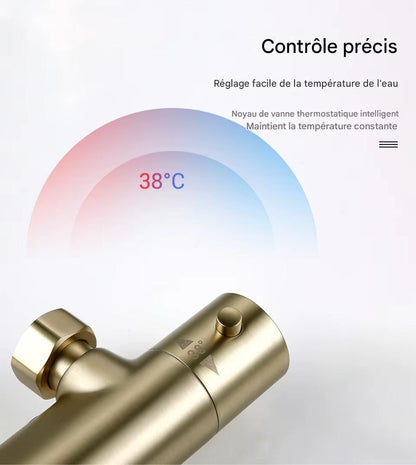 Colonne de douche thermostatique or brossé - AquaZenith